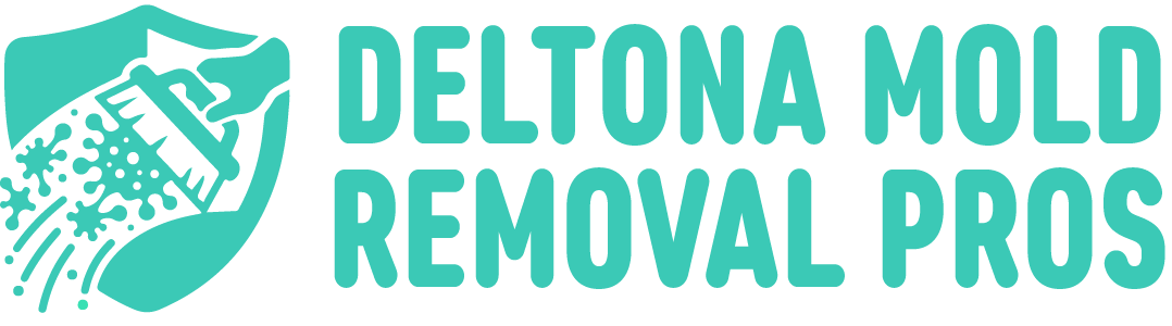 Deltona Mold Removal Pros